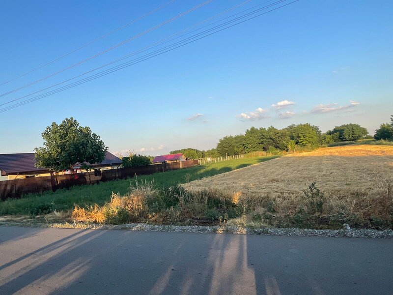 Movilita, Rosiori, Ialomita